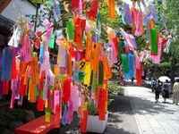 七夕tanabata.jpg